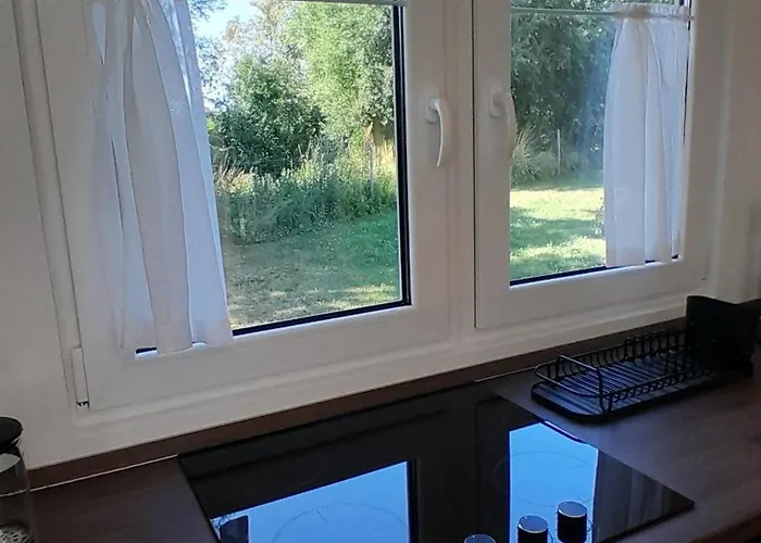 Tiny Haus C235 Wacholderdrossel *